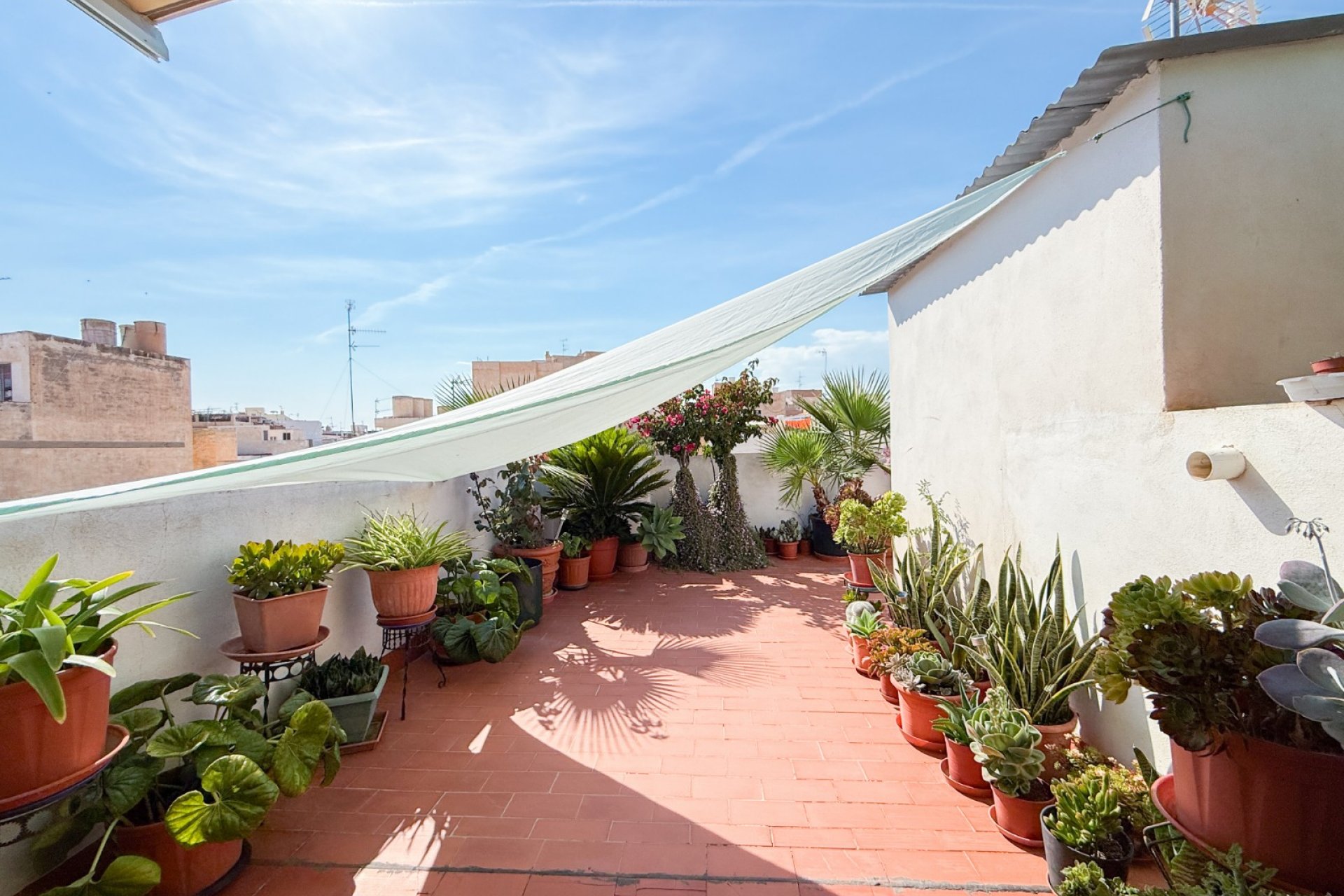 Segunda Mano - Apartamento / piso - Águilas - Centro