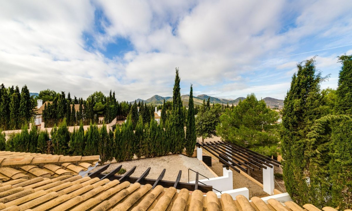 Obra nueva - Villa - Fuente Álamo - Las Palas